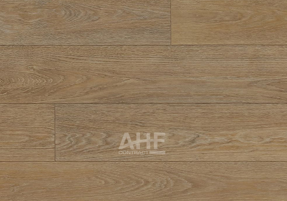 AHF Contract, Concepts of Landscape in Latte
