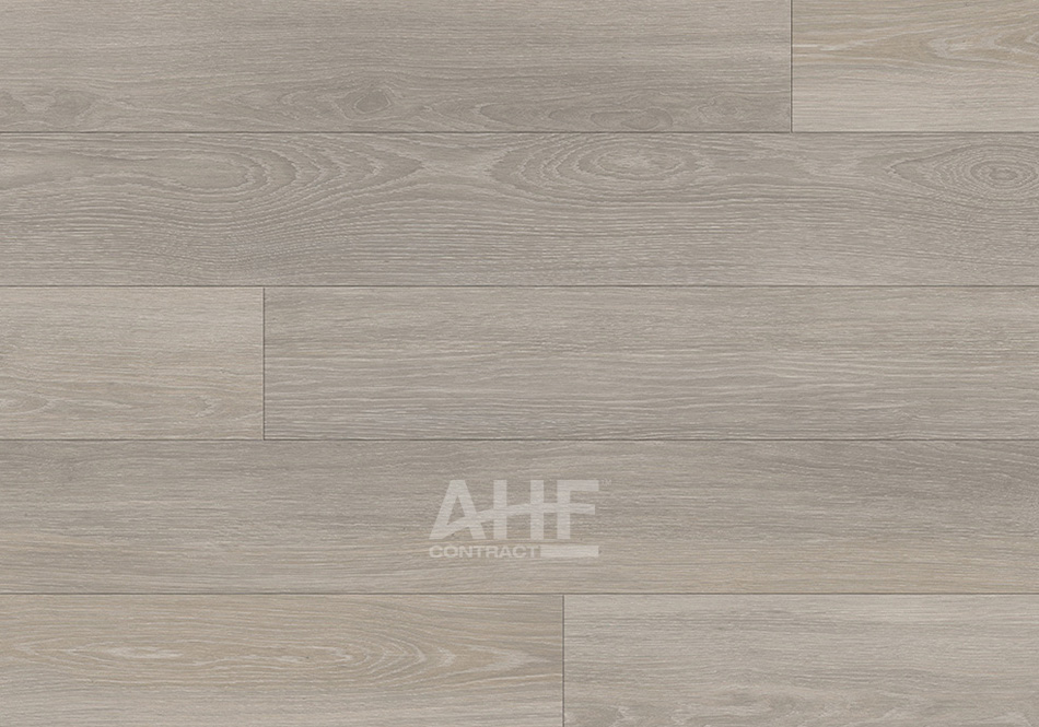 AHF Contract, Rewilding in Quiet Winter