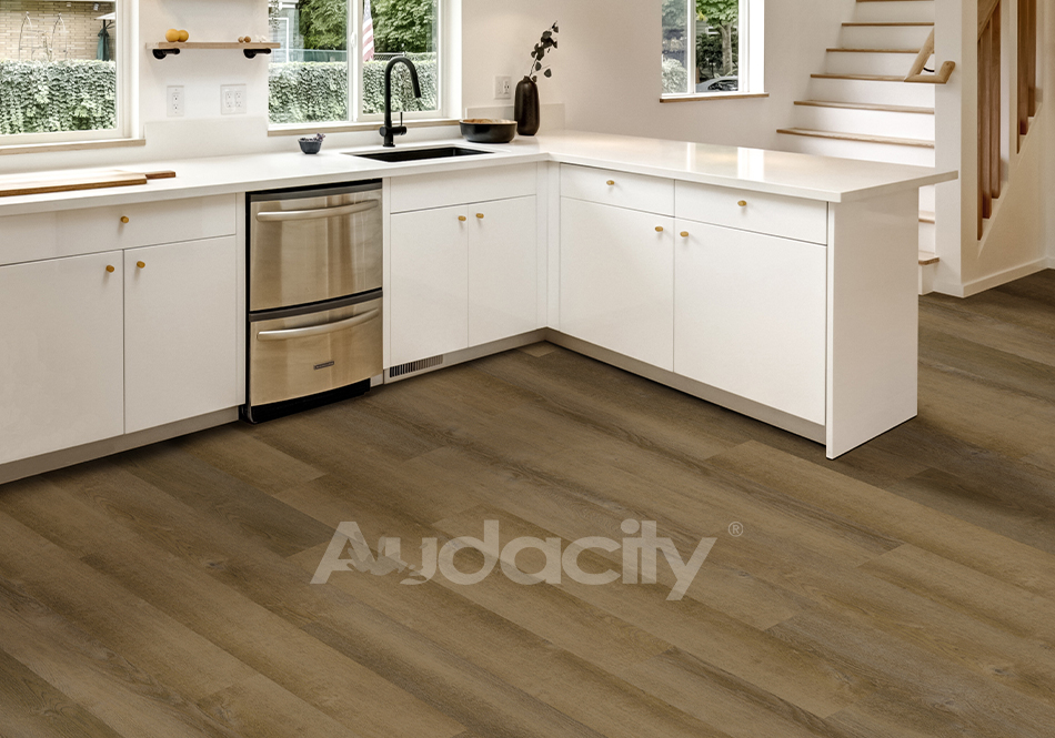 Audacity, Audacity One, Cline