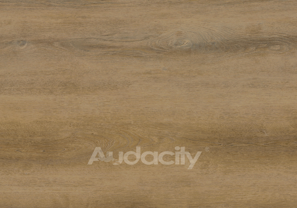 Audacity, Audacity One, Cline