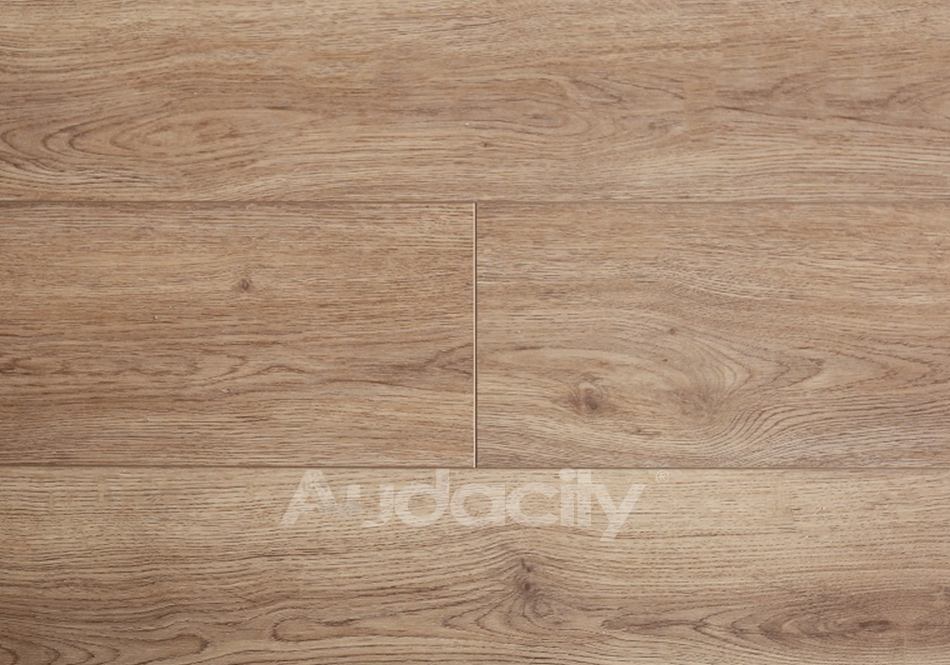 Audacity, Audacity One, Darby