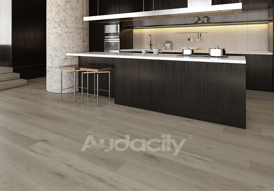 Audacity, Audacity One, Ellington