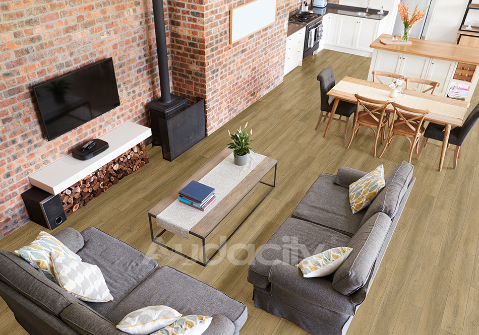 Audacity, Audacity One, Kensington