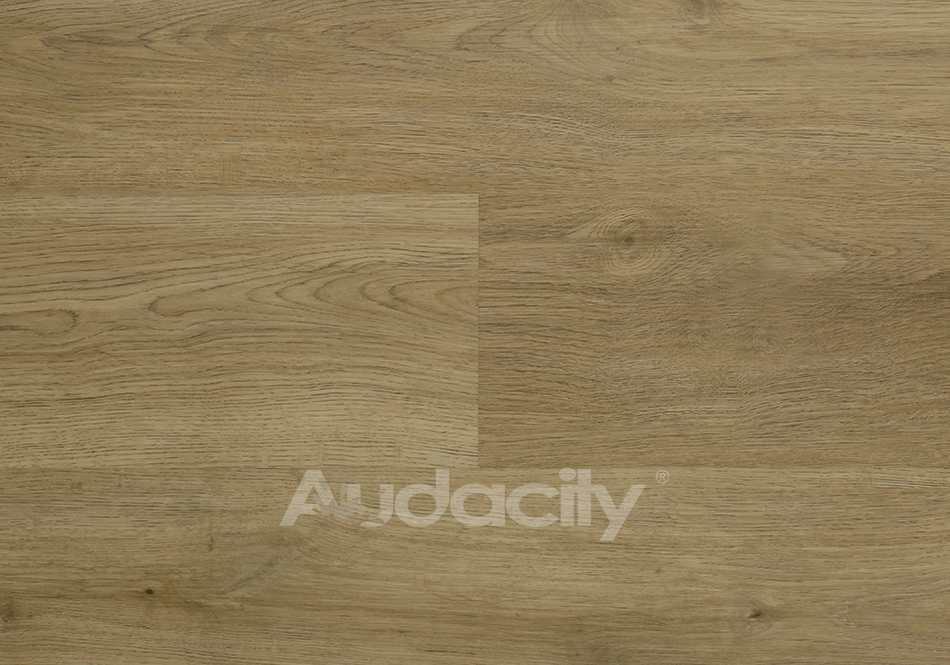 Audacity, Audacity One, Kensington