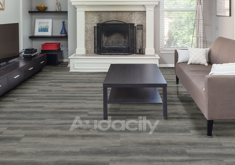 Audacity, Audacity One, Noland