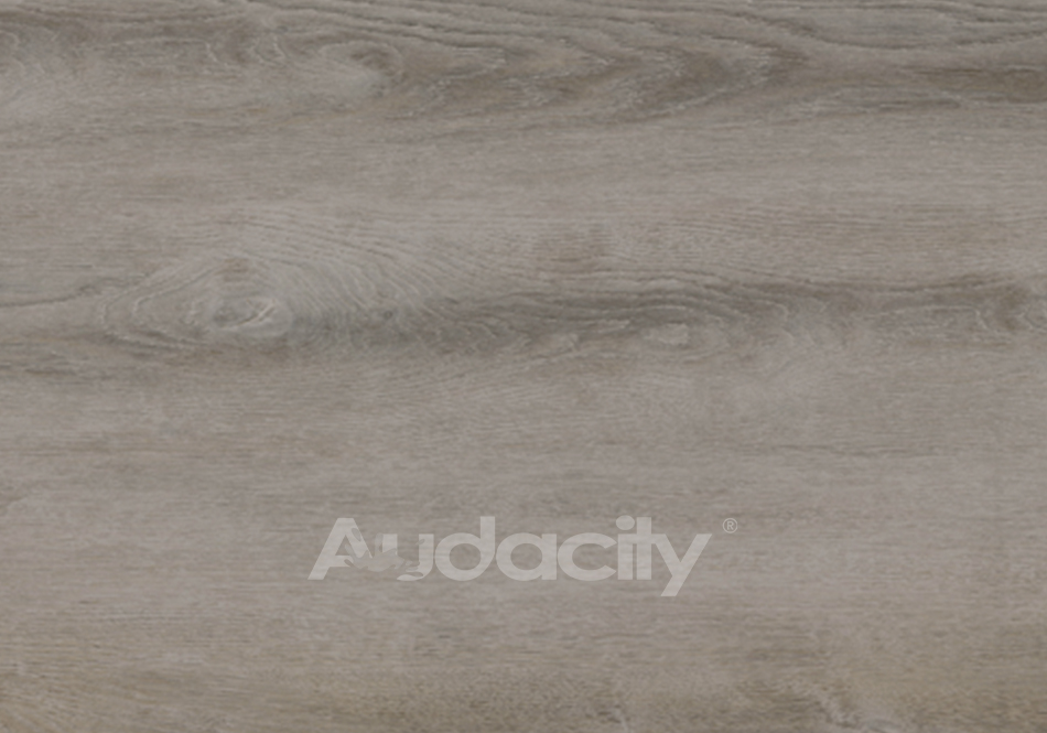 Audacity, Audacity One, Noland