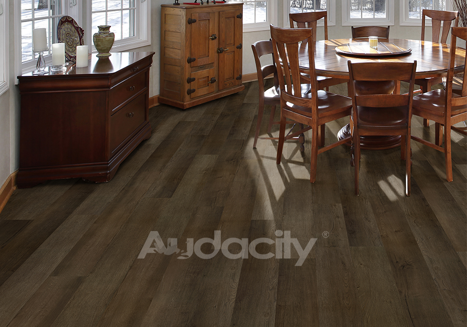 Audacity, Audacity One, Trimble