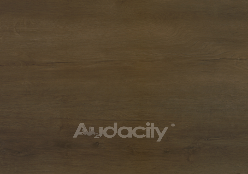 Audacity, Audacity One, Trimble