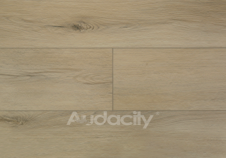 Audacity, Liberty, Hampton