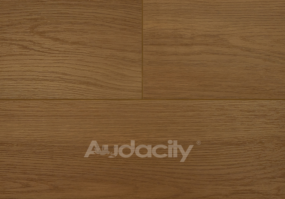 Audacity, Vivid 3D, Arbor