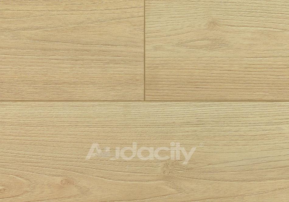 Audacity, Vivid 3D, Coastal