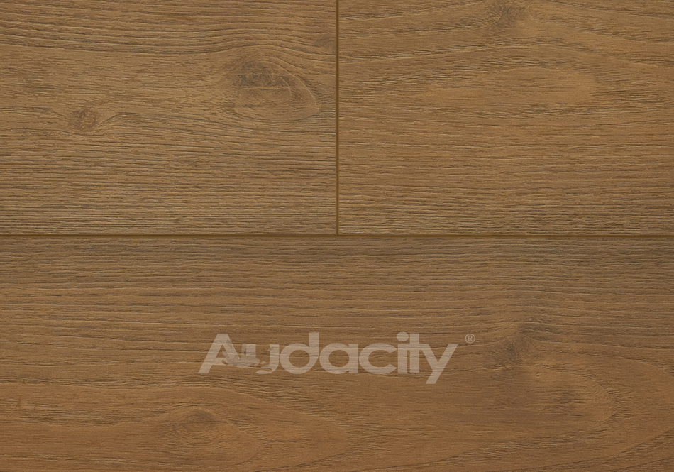 Audacity, Vivid 3D, Glen