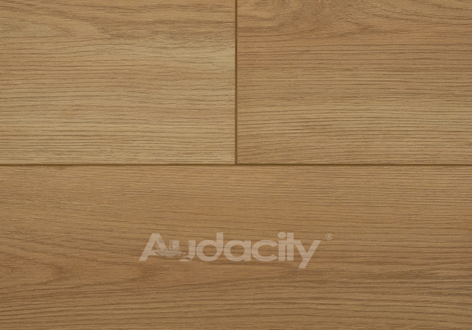 Audacity, Vivid 3D, Meadow