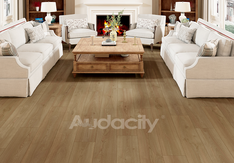 Audacity, Vivid 3D, Meadow