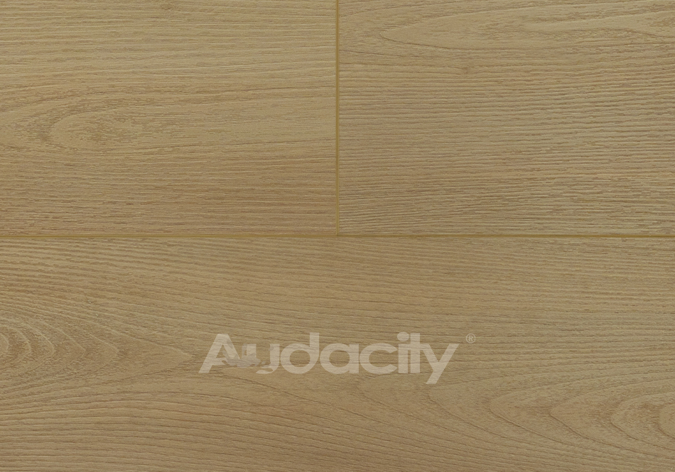 Audacity, Vivid 3D, Prairie