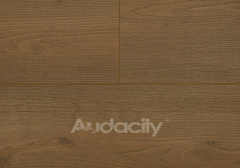 Audacity, Vivid 3D, Tahoe