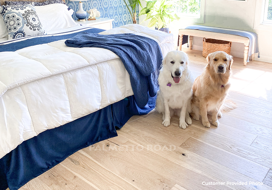 Palmetto Road, Tuscany, Nola Coastal Bedroom with large dogs