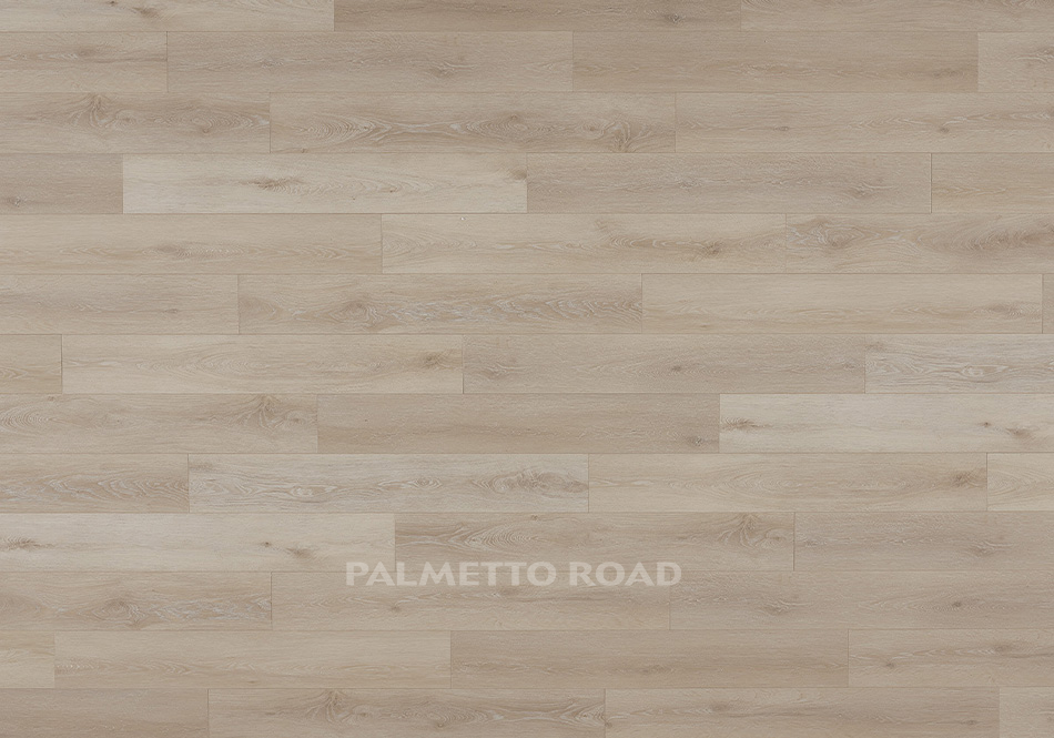 Palmetto Road, Impact, Sand Dollar