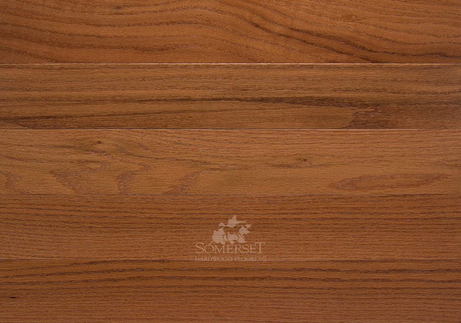 Somerset, Classic Engineered, Butterscotch 3 1/4"