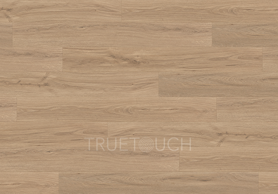 TrueTouch, Evolv, Cloud Nine